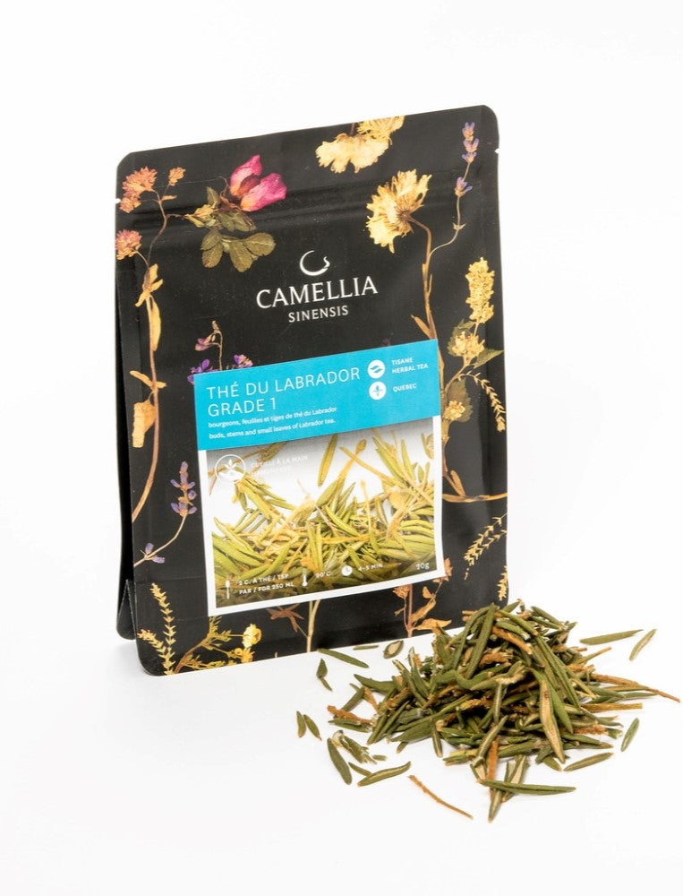 Labrador Tea Labeled Working Title